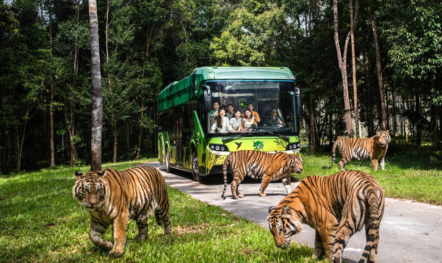 Vinpearl Safari Phu Quoc: 동물원 및 야생동물 보호 발견