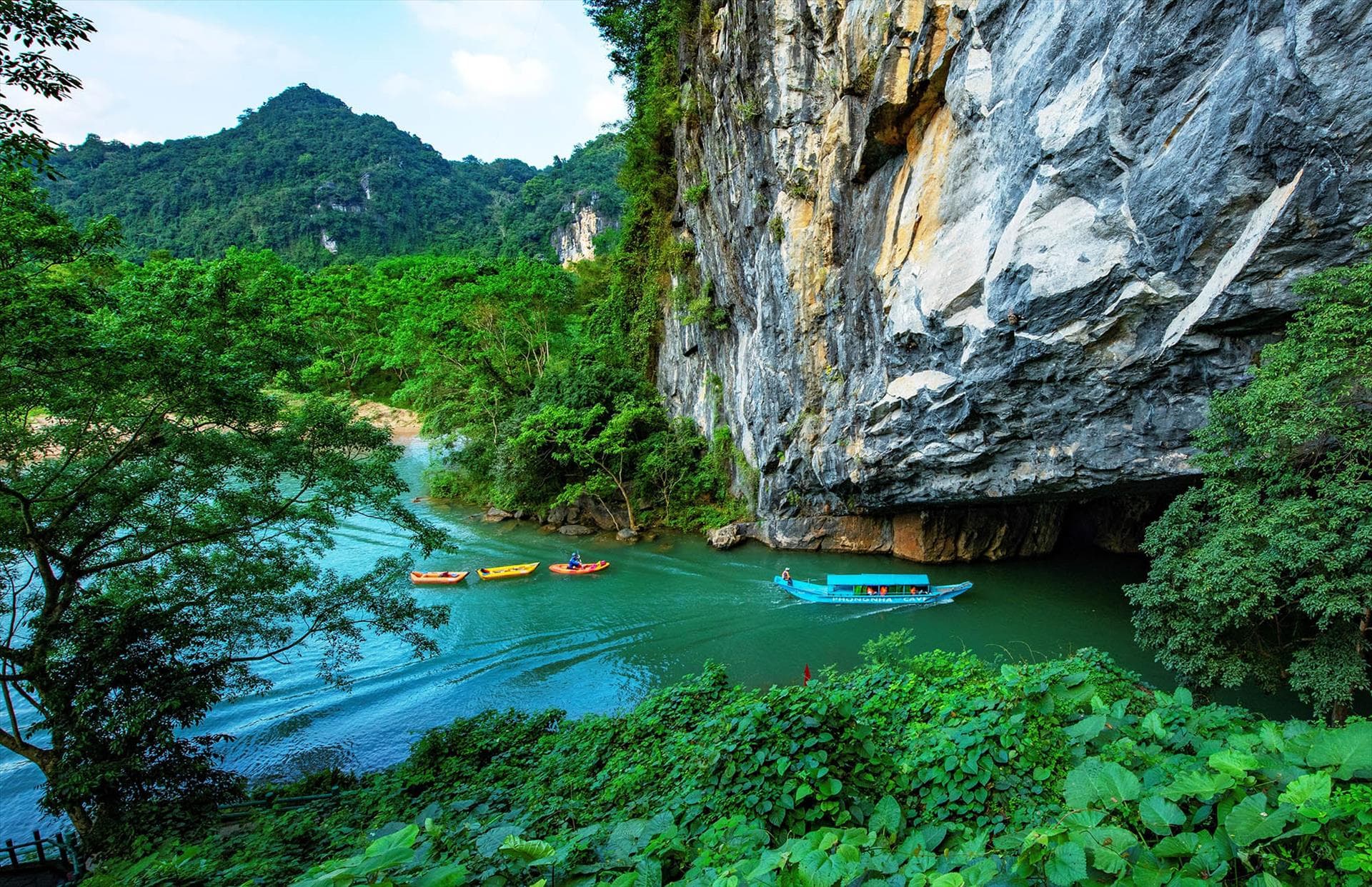 Grotta di Phong Nha: Il Regno del Patrimonio Carsico