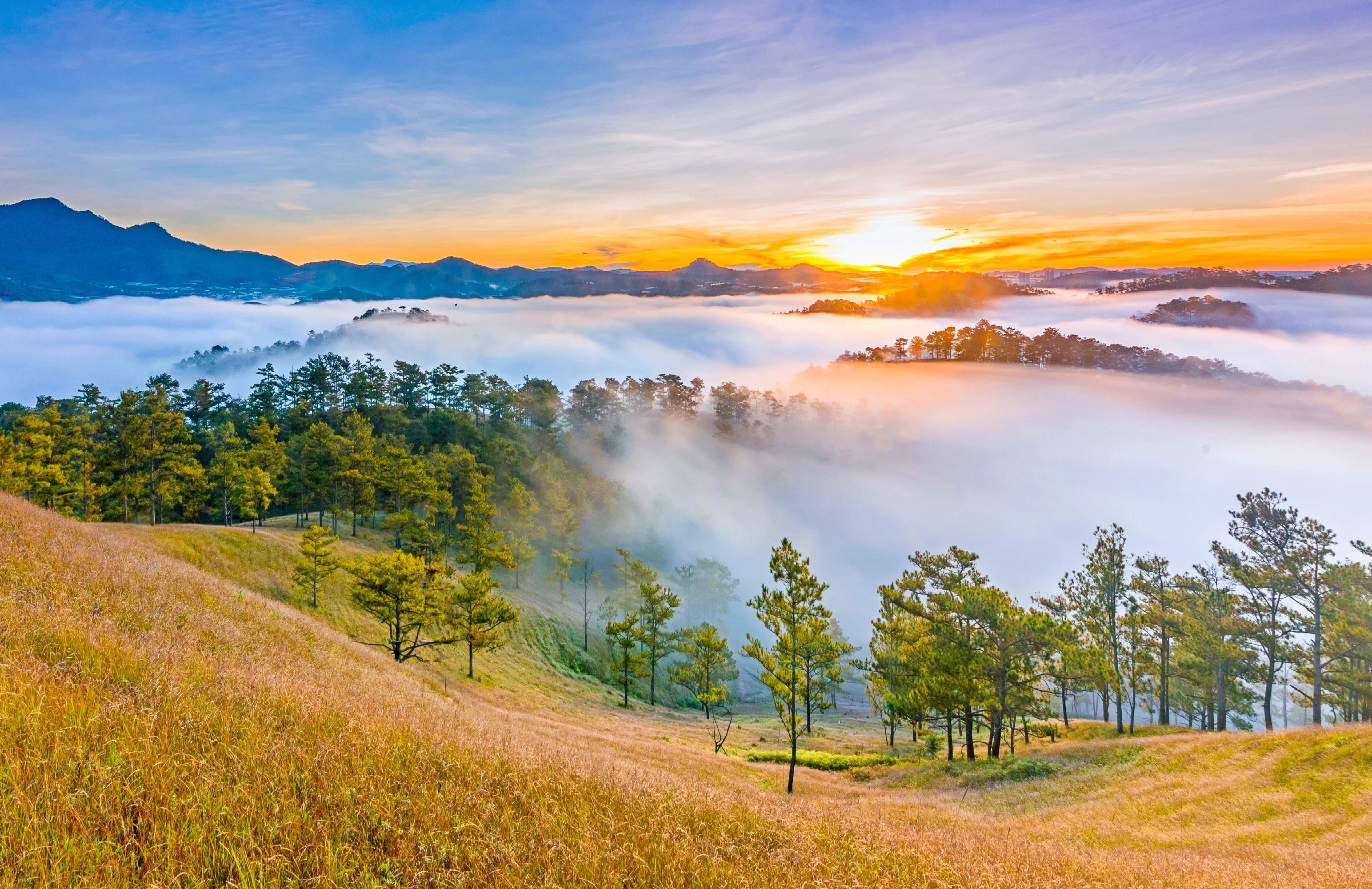 Da Lat