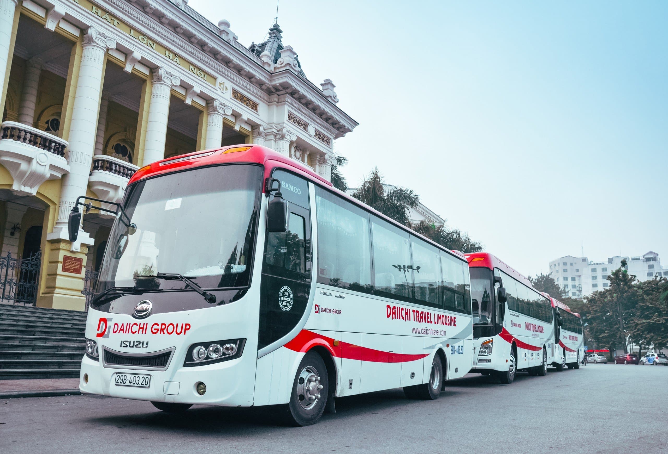 Daiichi Travel Cat Ba