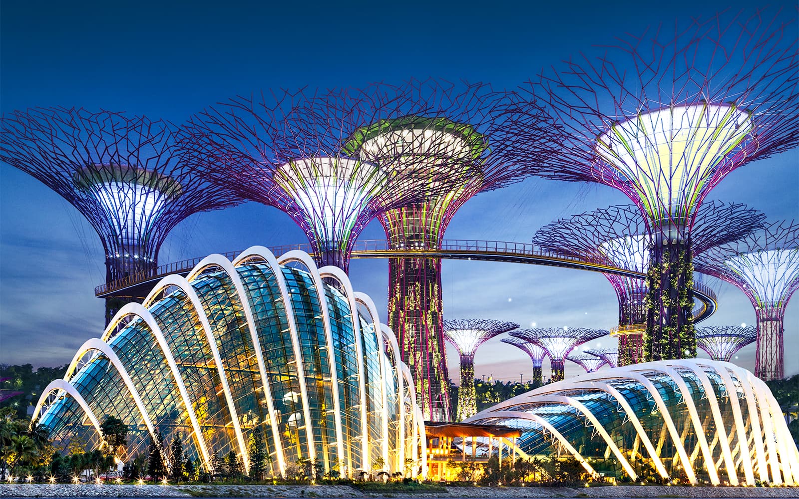Évasions Envoûtantes : Jardins de la Baie & Universal Studios Singapour
