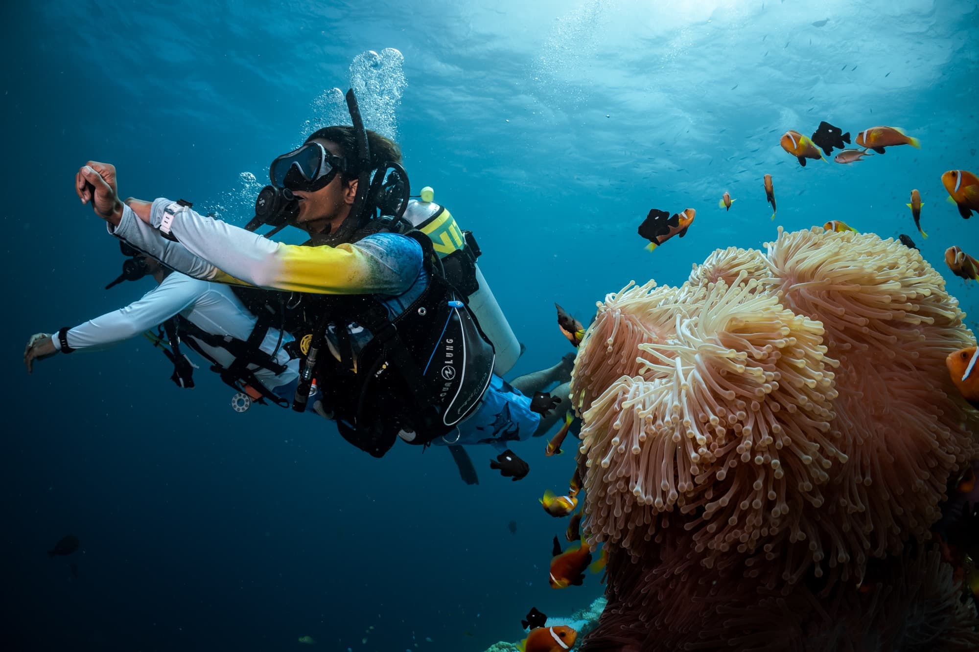 Deep Blue Discovery: Nha Trang's Pristine Reefs